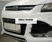 01-170513-15B - СЕТКА В БАМПЕР (Arbori) Ford Kuga 2 (2013-2016)