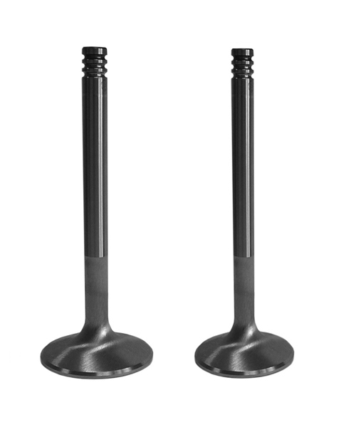 Клапана впускные/выпускные ВАЗ-2112 16V азот.(AMP)