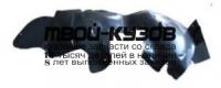 PG20698-301-R - ПОДКРЫЛОК ПЕРЕДНИЙ ПРАВЫЙ (КИТАЙ) Peugeot 206 (1998-)