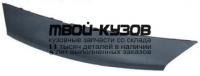 RNSCE03-120X - МОЛДИНГ РЕШЕТКИ РАДИАТОРА верхний (ТАЙВАНЬ) Renault Scenic 2 (2003-)