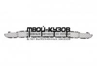 BM0X599-190-C - РЕШЕТКА ПЕРЕДНЕГО БАМПЕРА центральная (ТАЙВАНЬ) BMW X5 E53 (1999-2003)