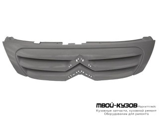 РЕШЕТКА РАДИАТОРА ГРУНТ (ИТАЛИЯ) для Citroen C3 (05.2002 - 10.2005) (11.2005-)