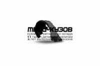 NLS.41.35.001 - ПОДКРЫЛОК ПЕРЕДНИЙ ЛЕВЫЙ (TOTEM) Renault Sandero (2014-)