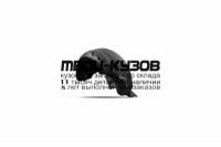 NLL.48.59.003 - ПОДКРЫЛОК ЗАДНИЙ ЛЕВЫЙ (TOTEM) Toyota Corolla 180 (2014-)