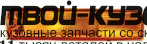 315-1609R-AS - УКАЗАТЕЛЬ ПОВОРОТА НИЖНИЙ ПРАВЫЙ (DEPO) Nissan Pathfinder R50 USA (1996-1999)
