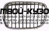 BME3996-100HB-L - РЕШЕТКА РАДИАТОРА ЛЕВАЯ (ТАЙВАНЬ) BMW E39 (1996-1999)