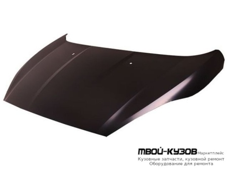 КАПОТ (ТАЙВАНЬ) для Ford FIESTA (2008-)