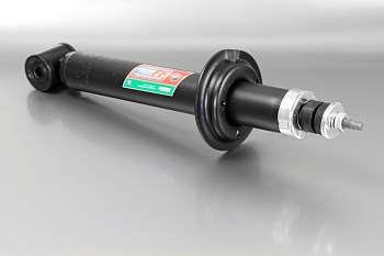 Амортизатор ВАЗ-2110 задний (Fenox) в уп. A12 291C3.1С