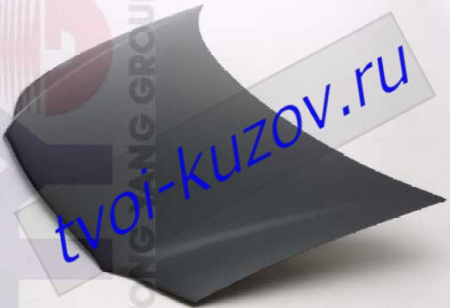 CARAVAN {VOYAGER} КАПОТ