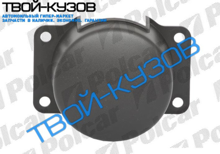 SCENIC 06-09 ЗАГЛУШКИ ПРОТИВОТУМАНОК ЛЕВ+ПРАВ