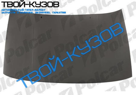 PASSAT 0488-0993 КАПОТ